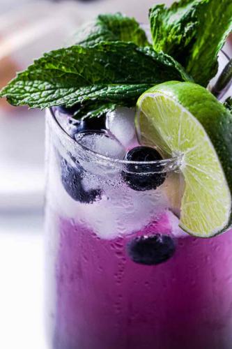 MOJITO STORE