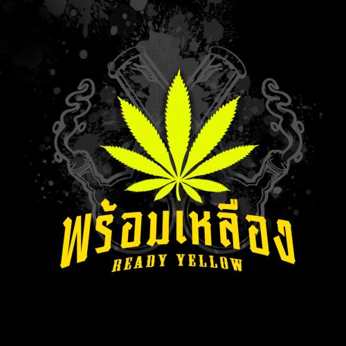 พร้อมเหลือง Ready Yellow