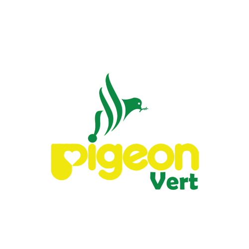 Pigeon vert