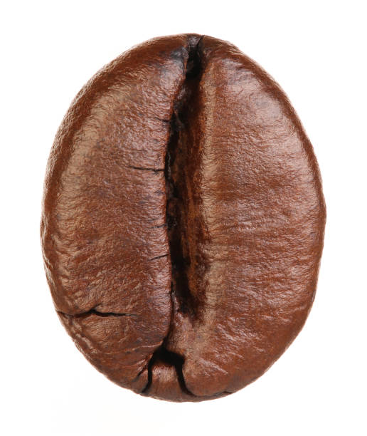 Category image
