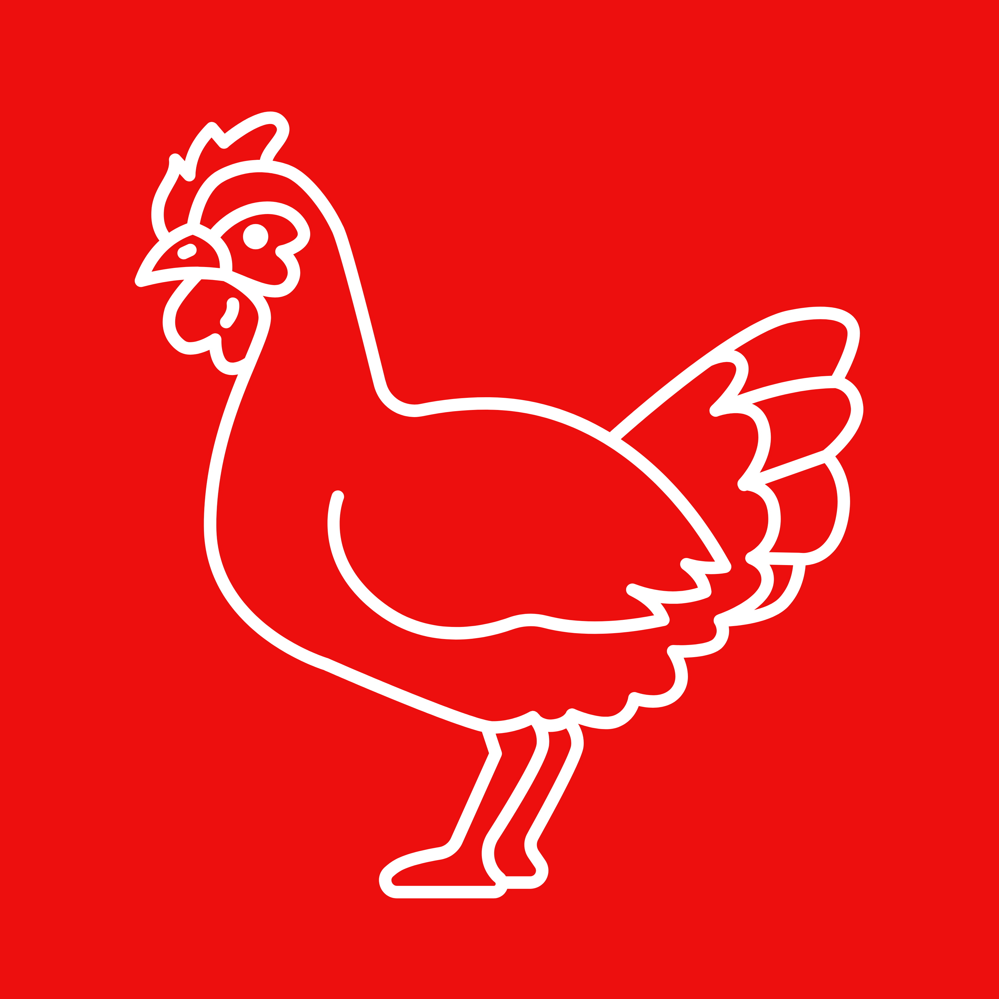 Category image