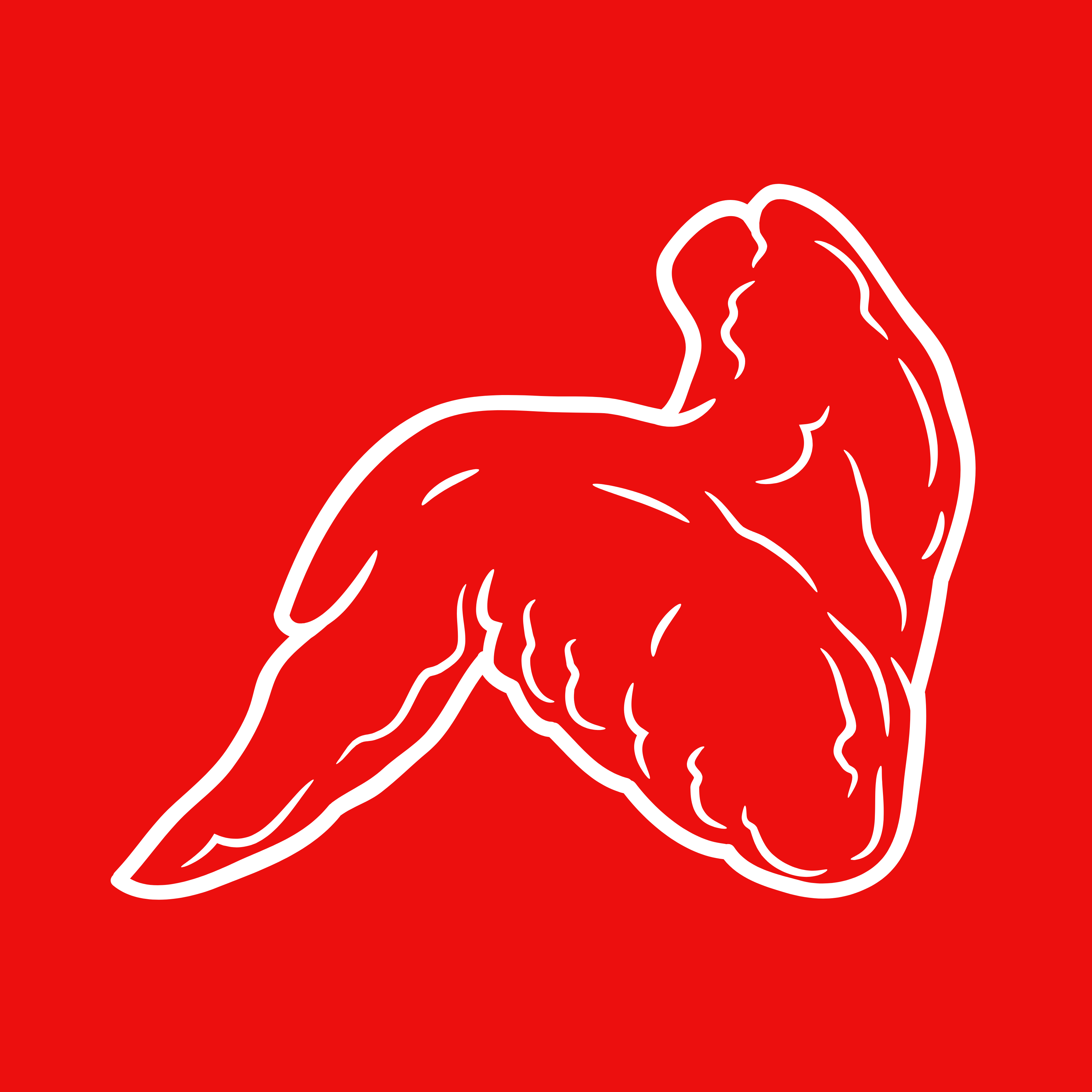 Category image