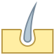Category image
