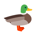 Category image