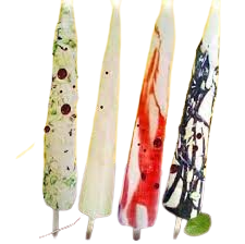 Category image