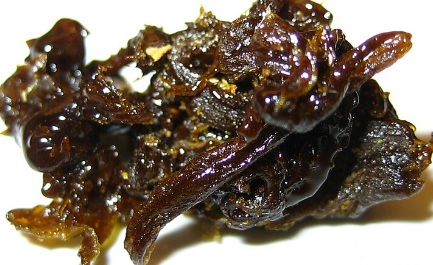 Category image