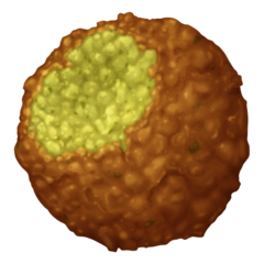 Category image