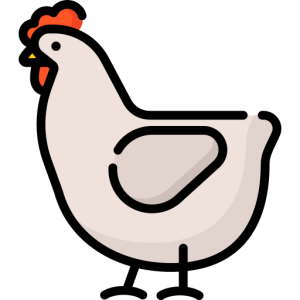 PREPARATE DIN CARNE DE PUI / CHICKEN SPECIALTIES