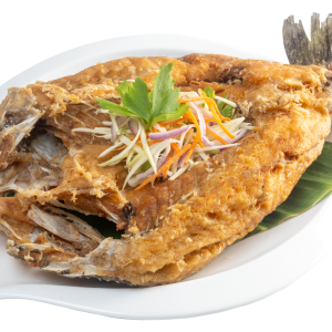 MAIN DISH