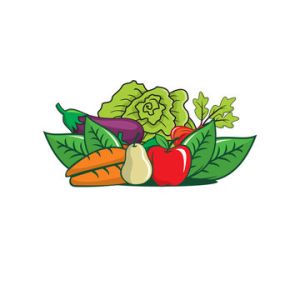 Vegetable