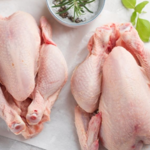 Fresh Chicken