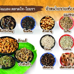รายการ