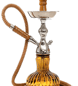Shisha Cavalli Only