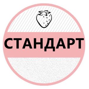 СТАНДАРТ