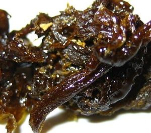 EXTRACTS