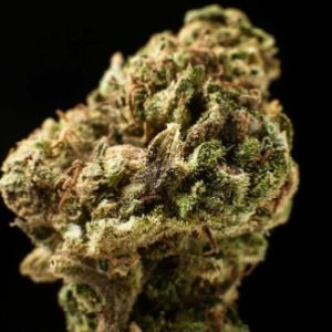 CALI SPANISH WEED