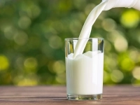 Milk