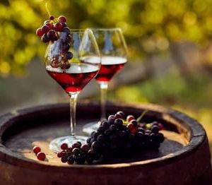WINE ( VINO)