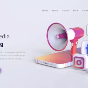 SOCIAL  MEDIA SERVICES