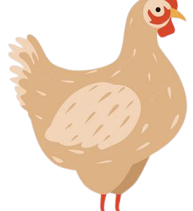POULTRY 
