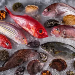 Fish Bar