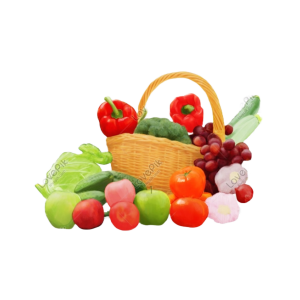 VEGETABLE 