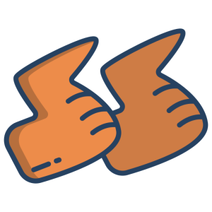 JAPANESE WINGS