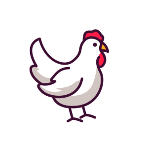 肉料理｜鶏 (Chicken)