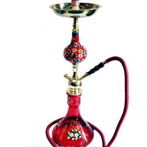 جۆرەکانی نێرگەلە