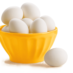 Egg