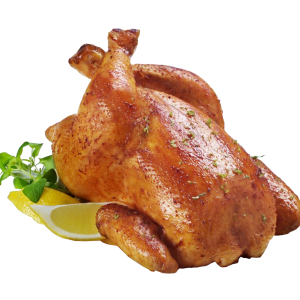 Chicken 