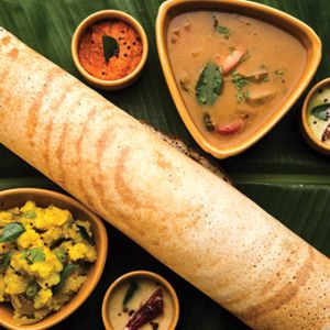 INDIAN DELIGHTS