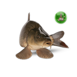 ប្រភេទសាច់ត្រី