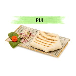 Plic 