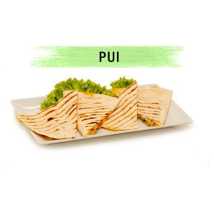 QUESADILLA